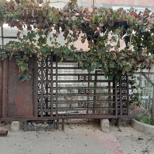 Cancello antico 270x - antico, 3