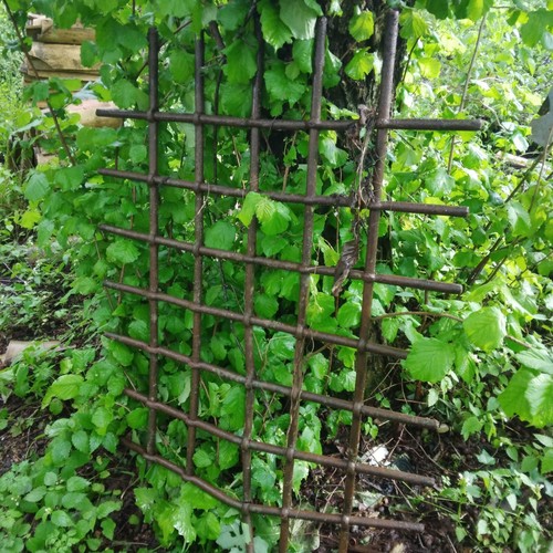 Antica grata ferro - antica,